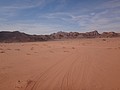 DSC04053.JPG
