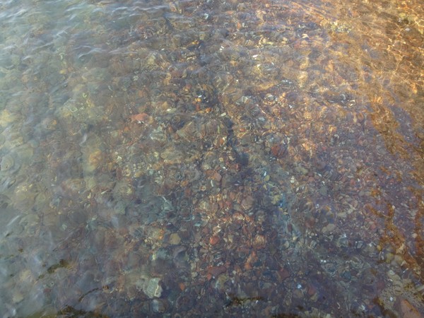 DSC04085.JPG
