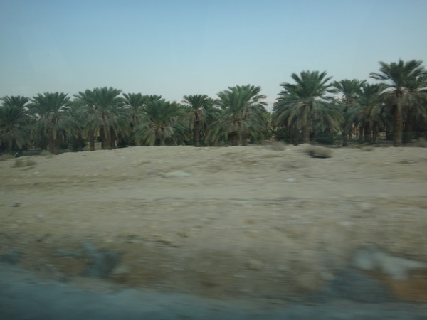 DSC04137.JPG