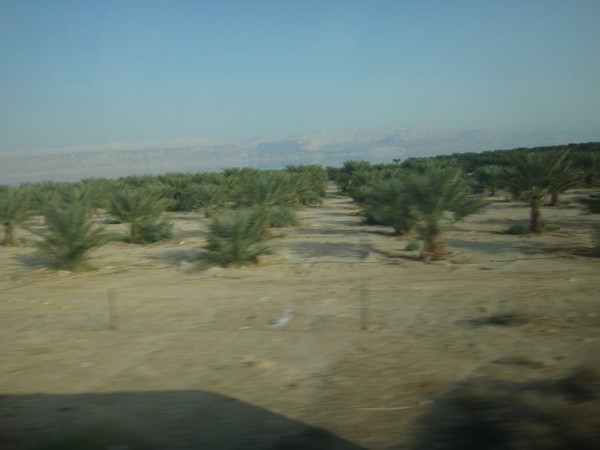 DSC04138.JPG