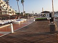 DSC04081.JPG