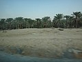 DSC04137.JPG