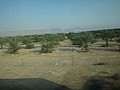 DSC04138.JPG