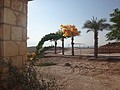 DSC04158.JPG