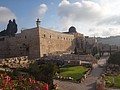 DSC04219.JPG