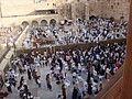 DSC04225.JPG