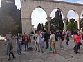 DSC04240.JPG