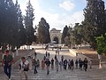 DSC04241.JPG