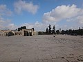 DSC04246.JPG