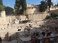 DSC04255.JPG