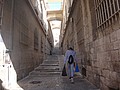 DSC04267.JPG