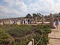 DSC04361.JPG