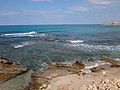 DSC04363.JPG