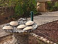 DSC04431.JPG