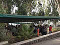 DSC04440.JPG