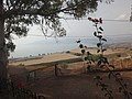 DSC04442.JPG