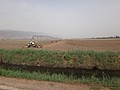 DSC04445.JPG