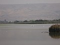 DSC04446.JPG