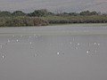 DSC04447.JPG