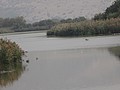 DSC04448.JPG