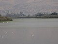 DSC04449.JPG