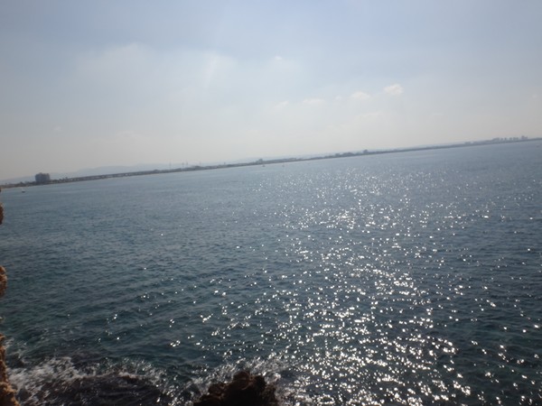 DSC04499.JPG