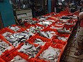 DSC04519.JPG