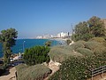 DSC04530.JPG
