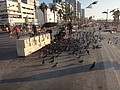DSC04541.JPG