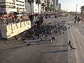 DSC04542.JPG