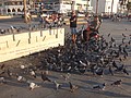 DSC04543.JPG