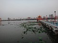 DSC04604.JPG