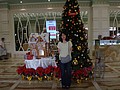 DSC04753.JPG