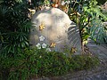 DSC04867.JPG