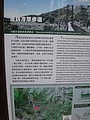 DSC05019.JPG