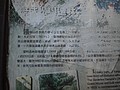 DSC05031.JPG