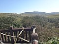 DSC05034.JPG