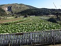 DSC05042.JPG