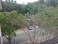 DSC05087.JPG