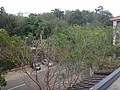 DSC05088.JPG