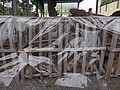 DSC05118.JPG