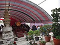 DSC05121.JPG