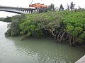 DSC05146.JPG