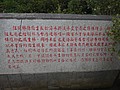 DSC05149.JPG