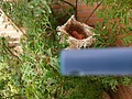 73383-1.jpg