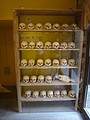 DSC05511.JPG