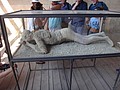 DSC05521.JPG