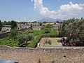 DSC05534.JPG