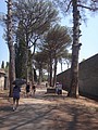 DSC05535.JPG
