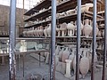 DSC05542.JPG